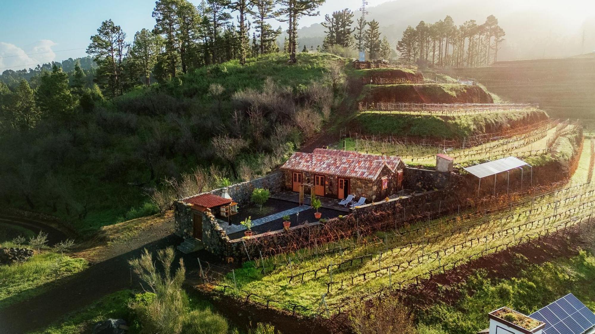 Finca Hortensia El Castillo  Εξωτερικό φωτογραφία