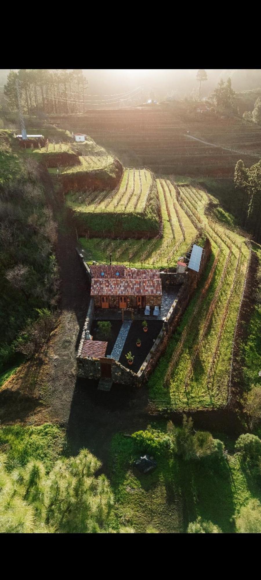 Finca Hortensia El Castillo  Εξωτερικό φωτογραφία